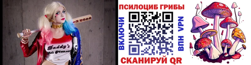 дарнет шоп  OMG онион  Псилоцибиновые грибы Cubensis  Кирс 