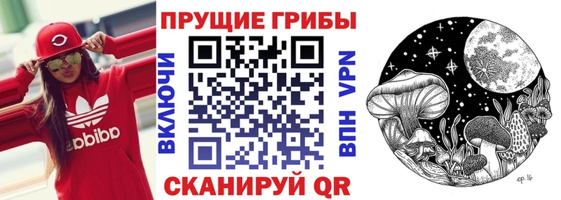 Галлюциногенные грибы мицелий Кирс